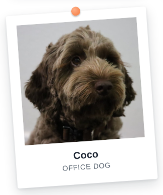 Office-Dog-Coco