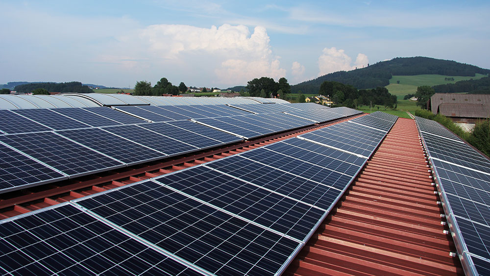 solar-for-business-sunshine-coast solar-for-business-sunshine-coast